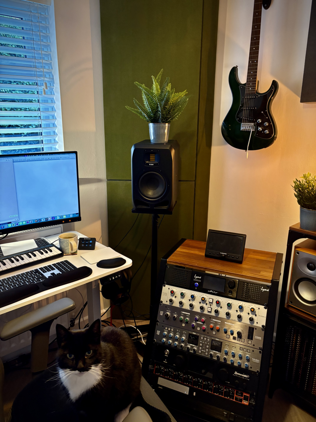 Photo of mastering studio with my cat Pixie at the controls